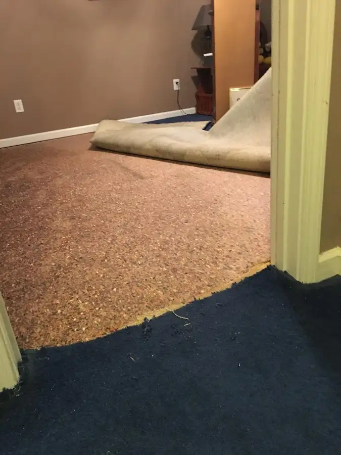 Carpet pad removal revealing water damage during Water Mitigation Services in Veneta