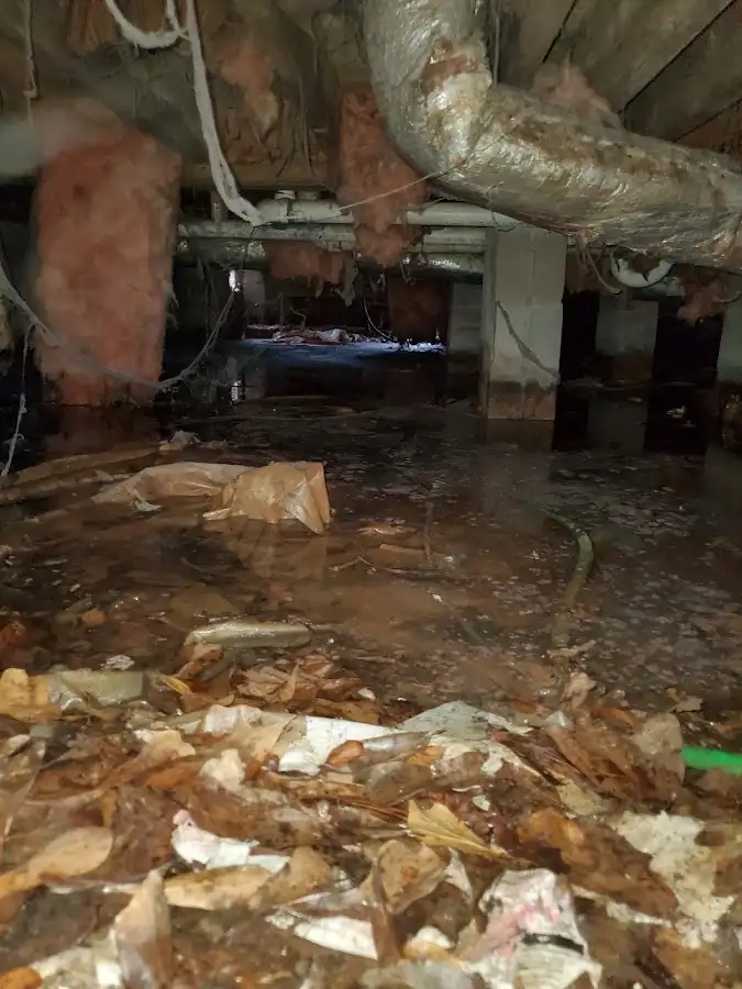 Crawl space flood assessment for Leak Detection & Repair in Veneta