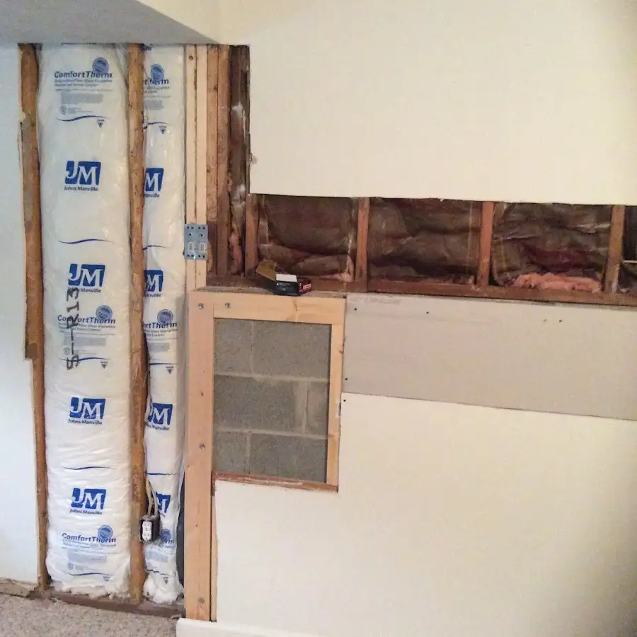 Wall insulation replacement during Basement Flood Cleanup in Veneta